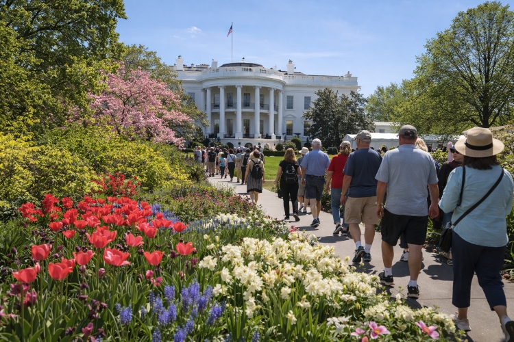 Visitors exploring White House South Lawn during spring garden tour in Washington DC
