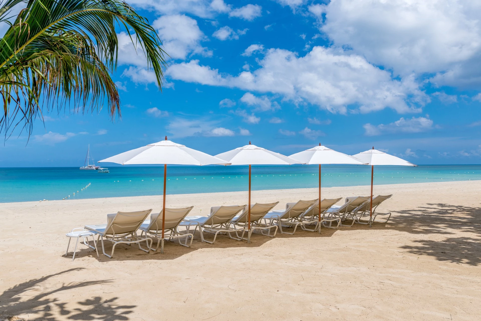 a row of chairs and umbrellas on a beach