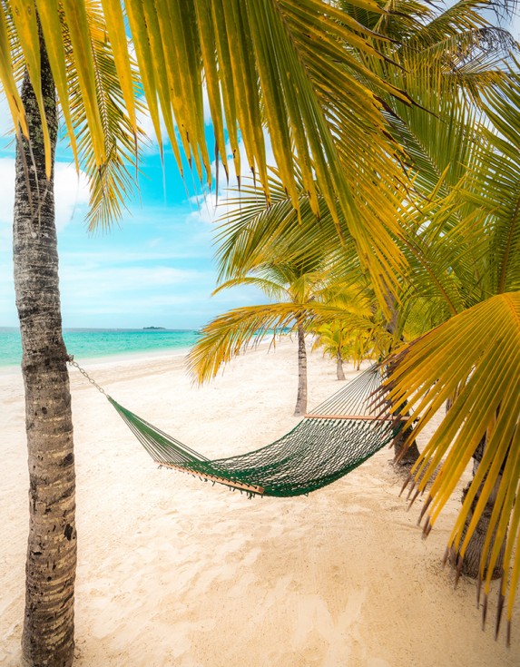 Hammock on the Beach