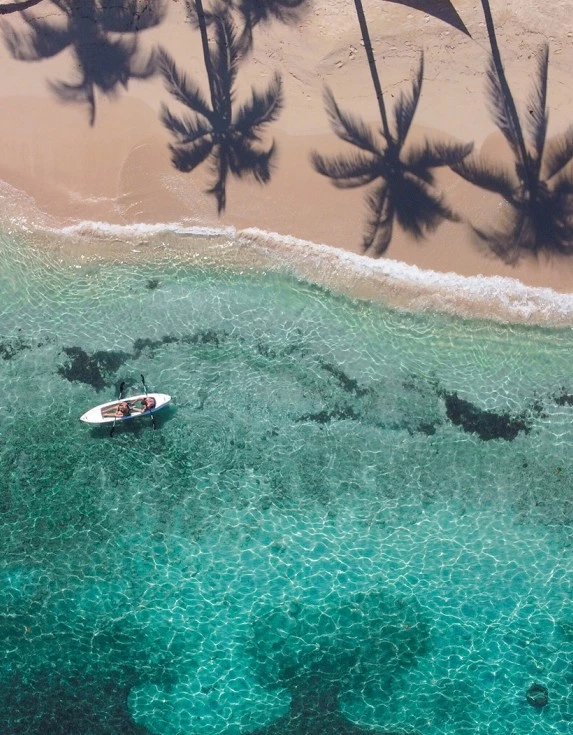 A couple in a white kayak with the sun shining and shadows of palm trees in the sand on the beach.