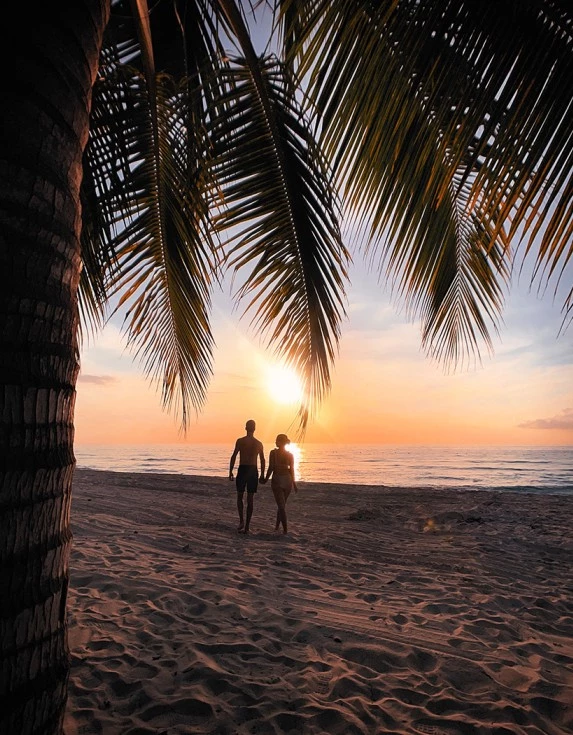 A couple walking on the sand during the sunset with a palm tree.