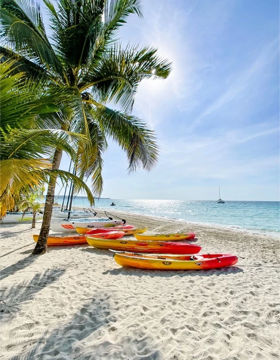 Five red and yellow kayaks on a beach with the sun shining from above and palm trees.