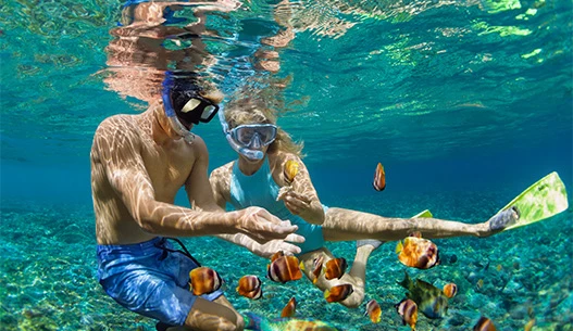 Man and woman snorkeling in the clear blue water looking at orange clownfish.