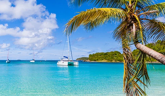 Bright blue water and sailboats with a palm tree off to the right.