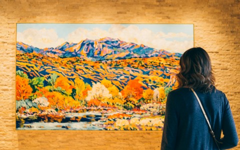 a woman looking at a painting