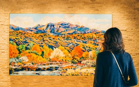 a woman looking at a painting