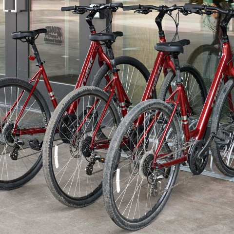 a group of bicycles parked in a row