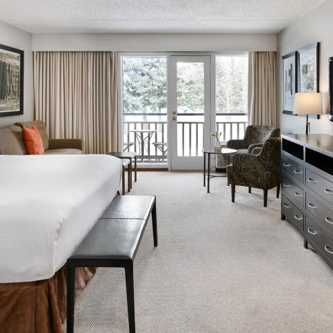 a room with a bed and a couch