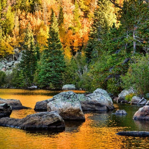 a river with rocks and trees