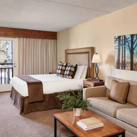 a room with a bed and a couch