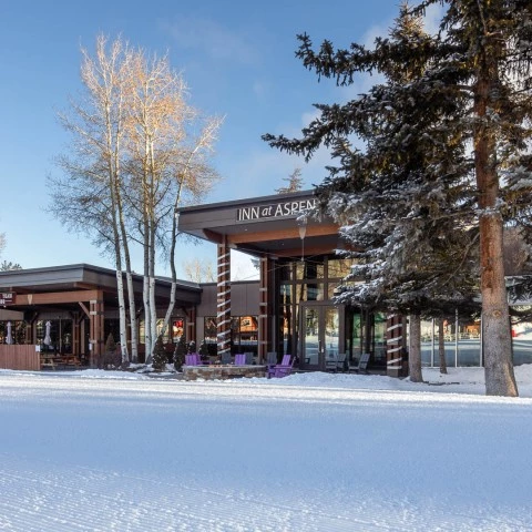a building with trees in the snow