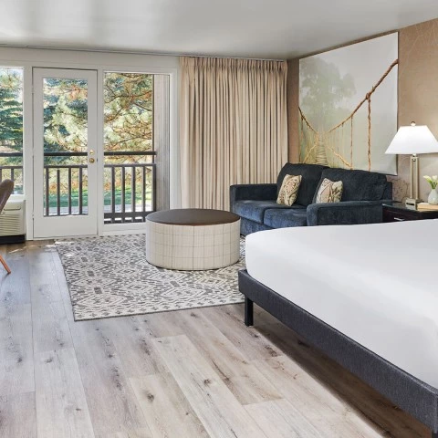 a room with a bed and a couch