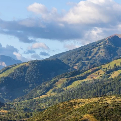 a green mountain with trees