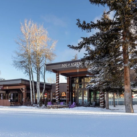 a building with trees in the snow