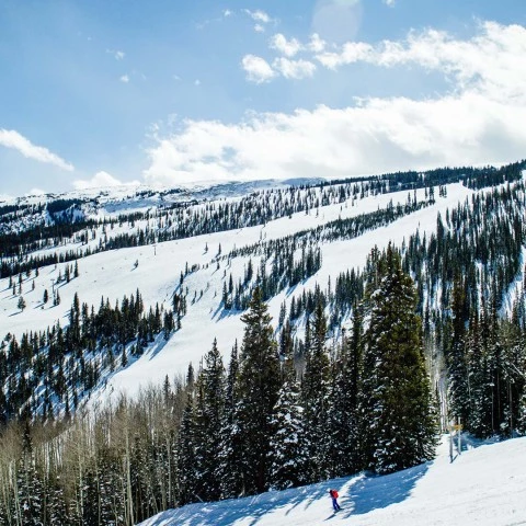 a person skiing down a mountain