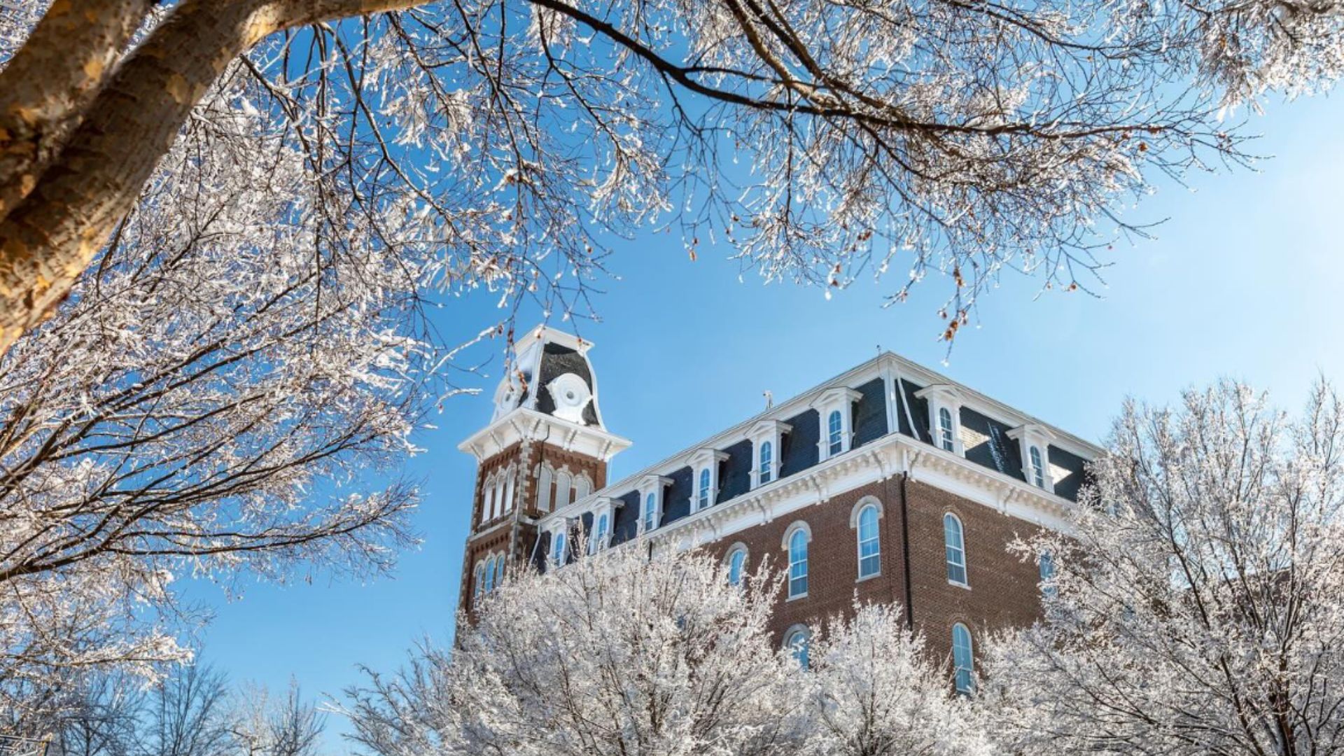 a building with a tower and trees