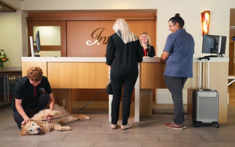 a group of people standing around a dog