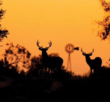 Stay 2 Nights & Save