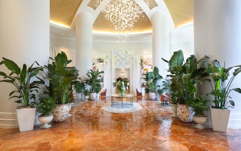 a large room with plants in pots