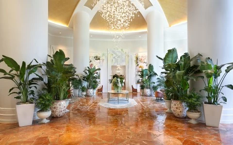 a large room with plants in pots