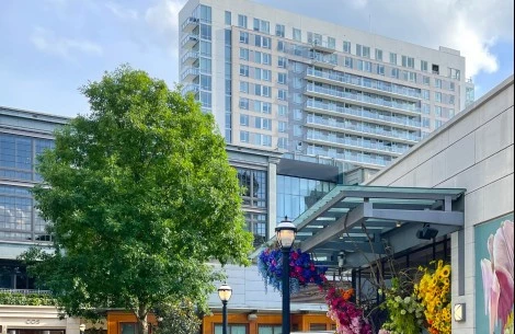 a building with a tree and a building in the background