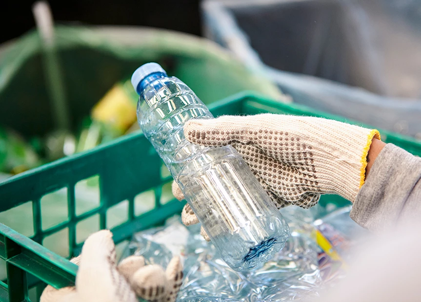 a bottle of water and a bag of mushrooms in a basket