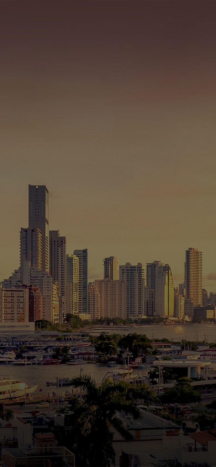 a rainbow over a city