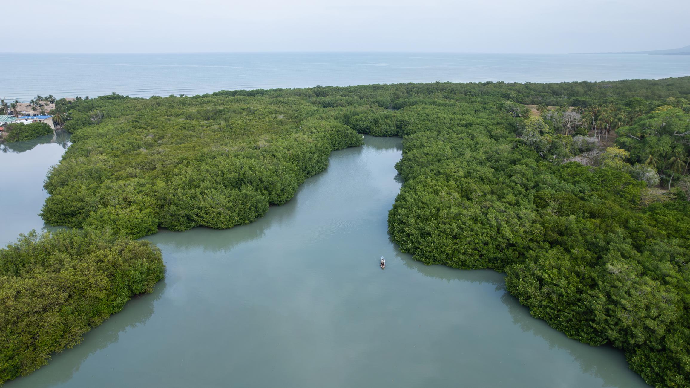a person in a boat in a river surrounded by trees