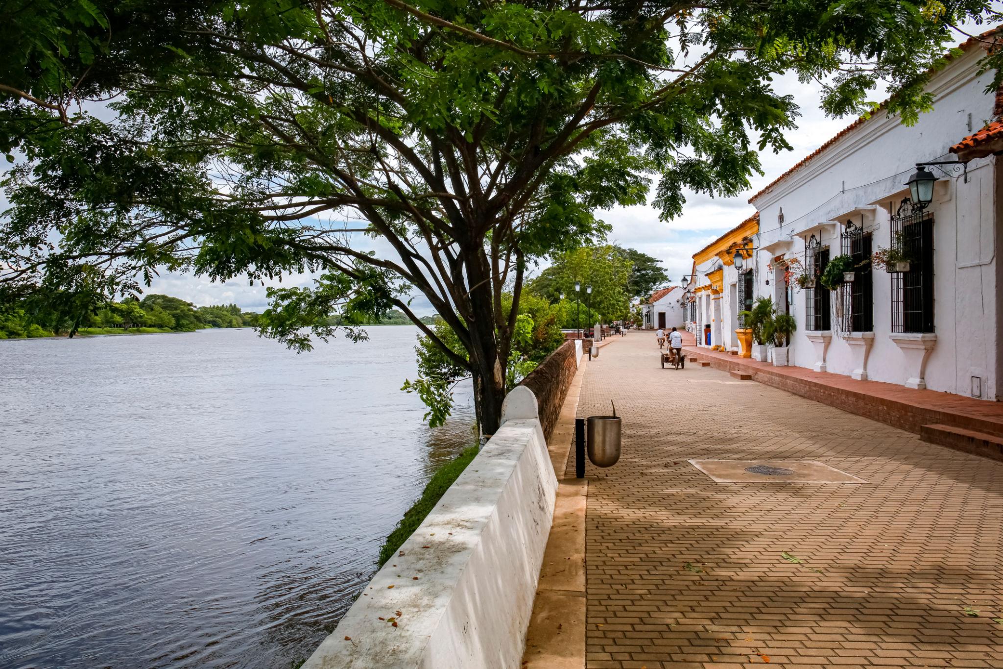 a brick walkway with a tree and water in the background