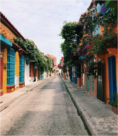 a street with colorful buildings and flowers