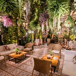 a room with furniture and plants