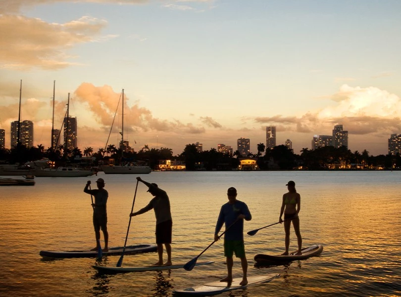 a group of people on paddle boards in a body of water