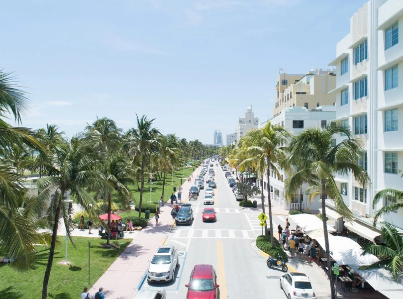 Top view of a street with buildings on the right and coconut trees on the left. 