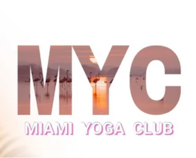 a pink flamingos in the water