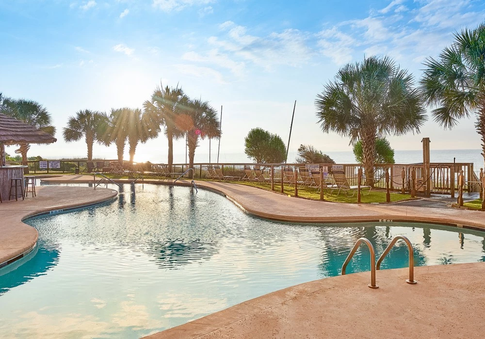 a pool with palm trees and a beach in the background