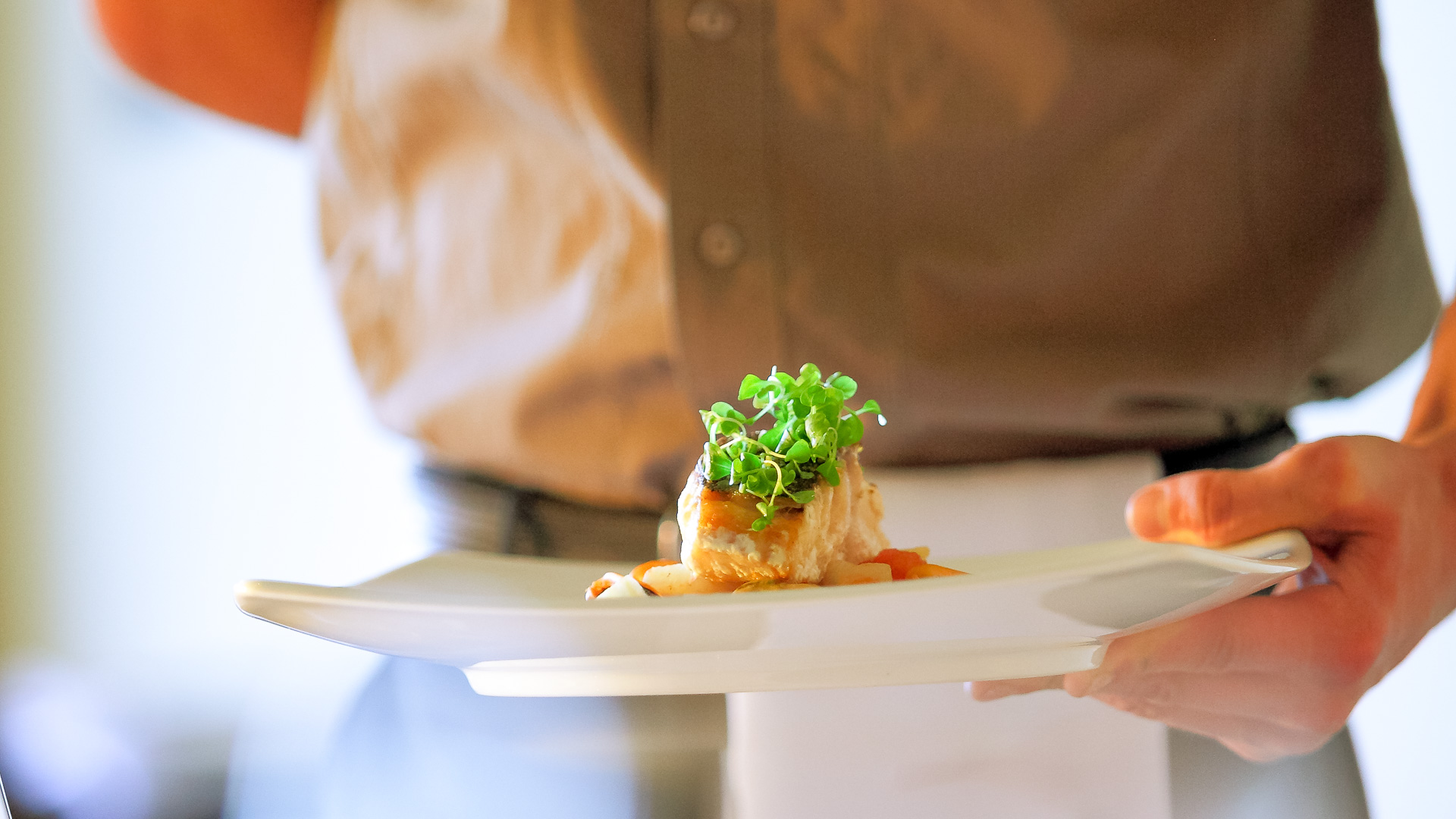 a person holding a plate of food