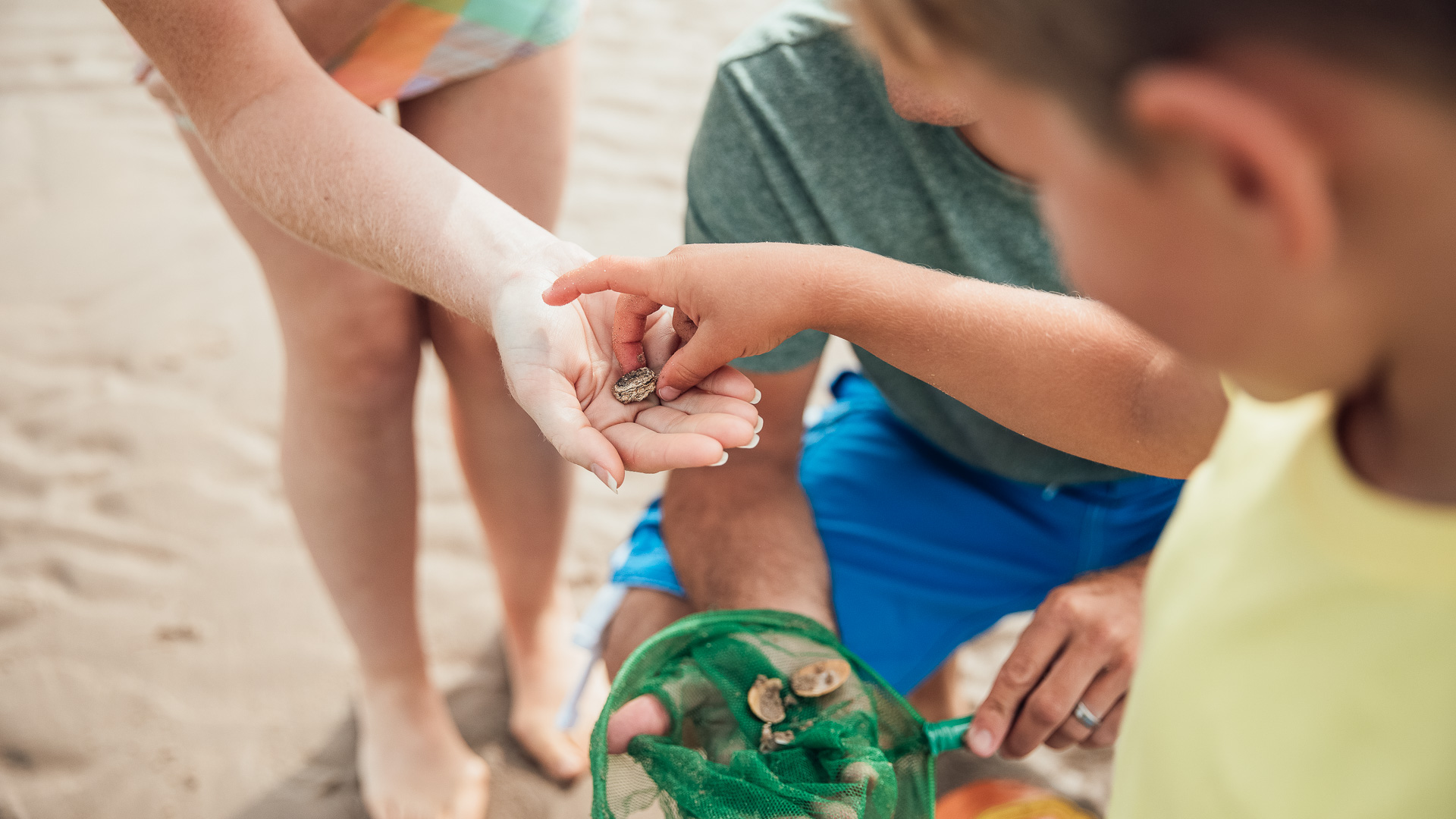 a person holding a small rock in their hand