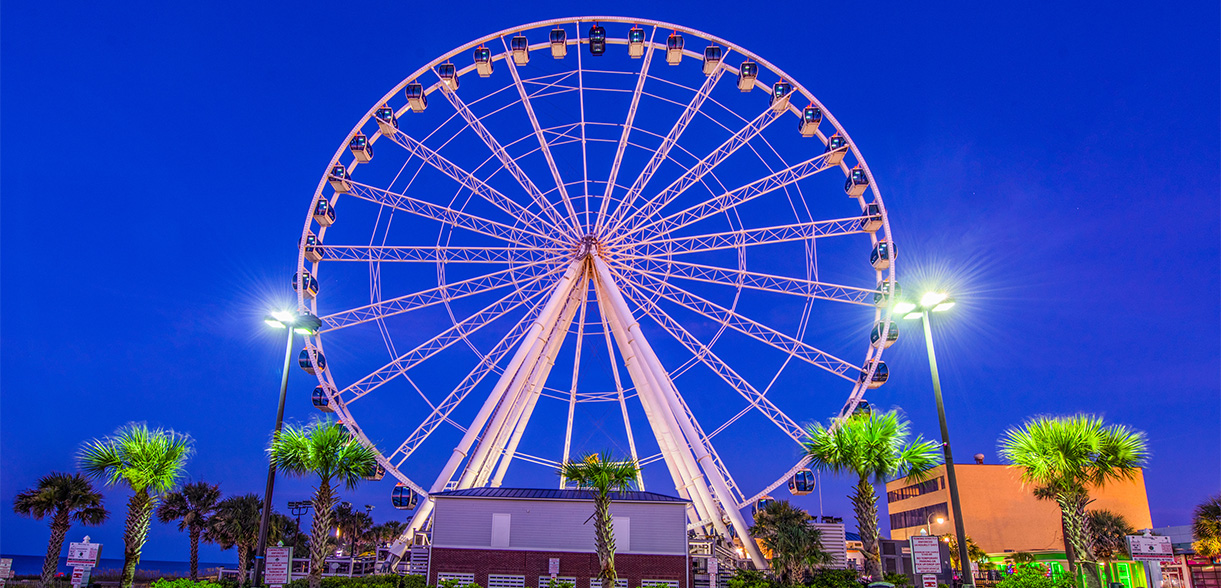 a ferris wheel with palm trees and buildings