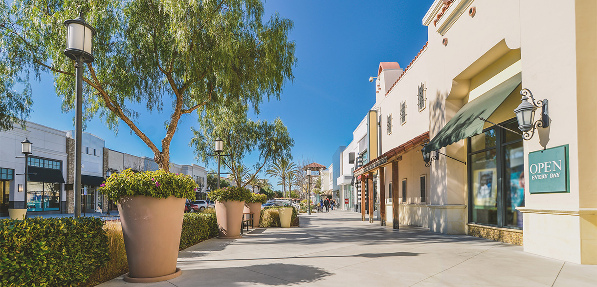 a street with trees and buildings