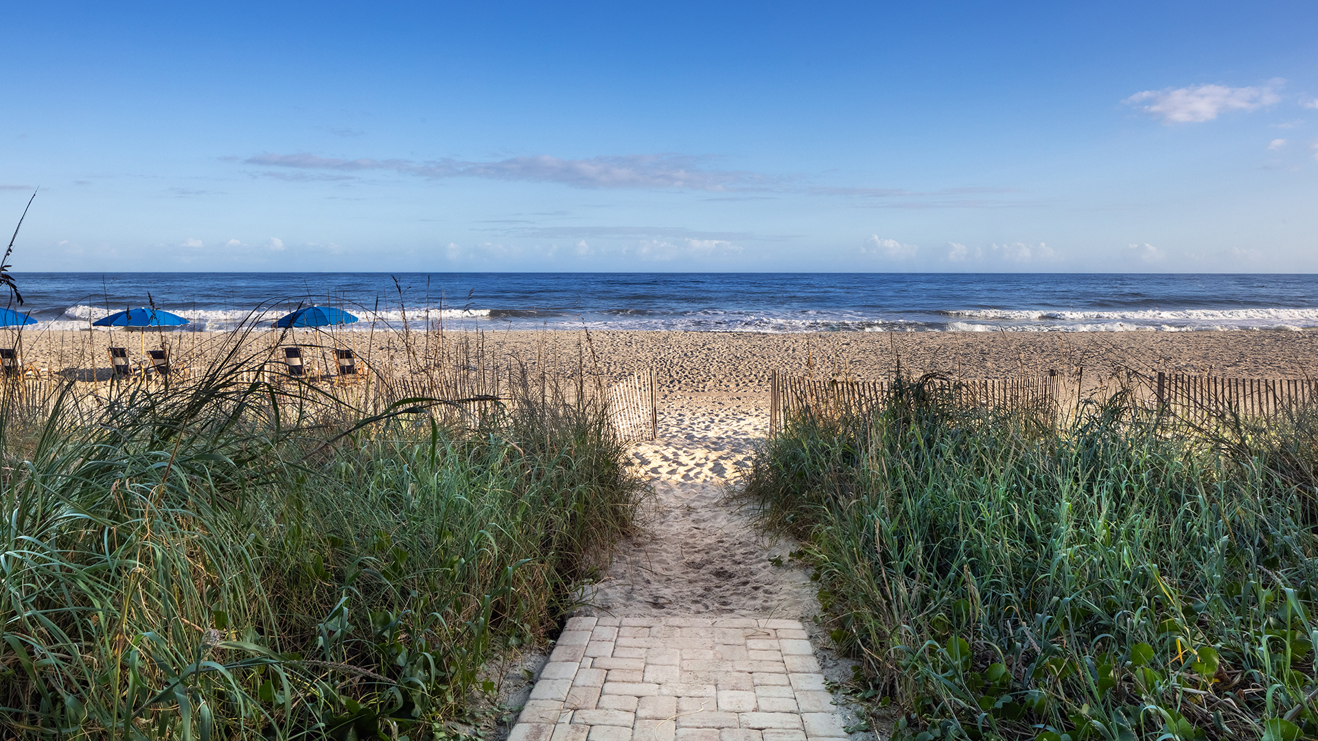 a path leading to a beach