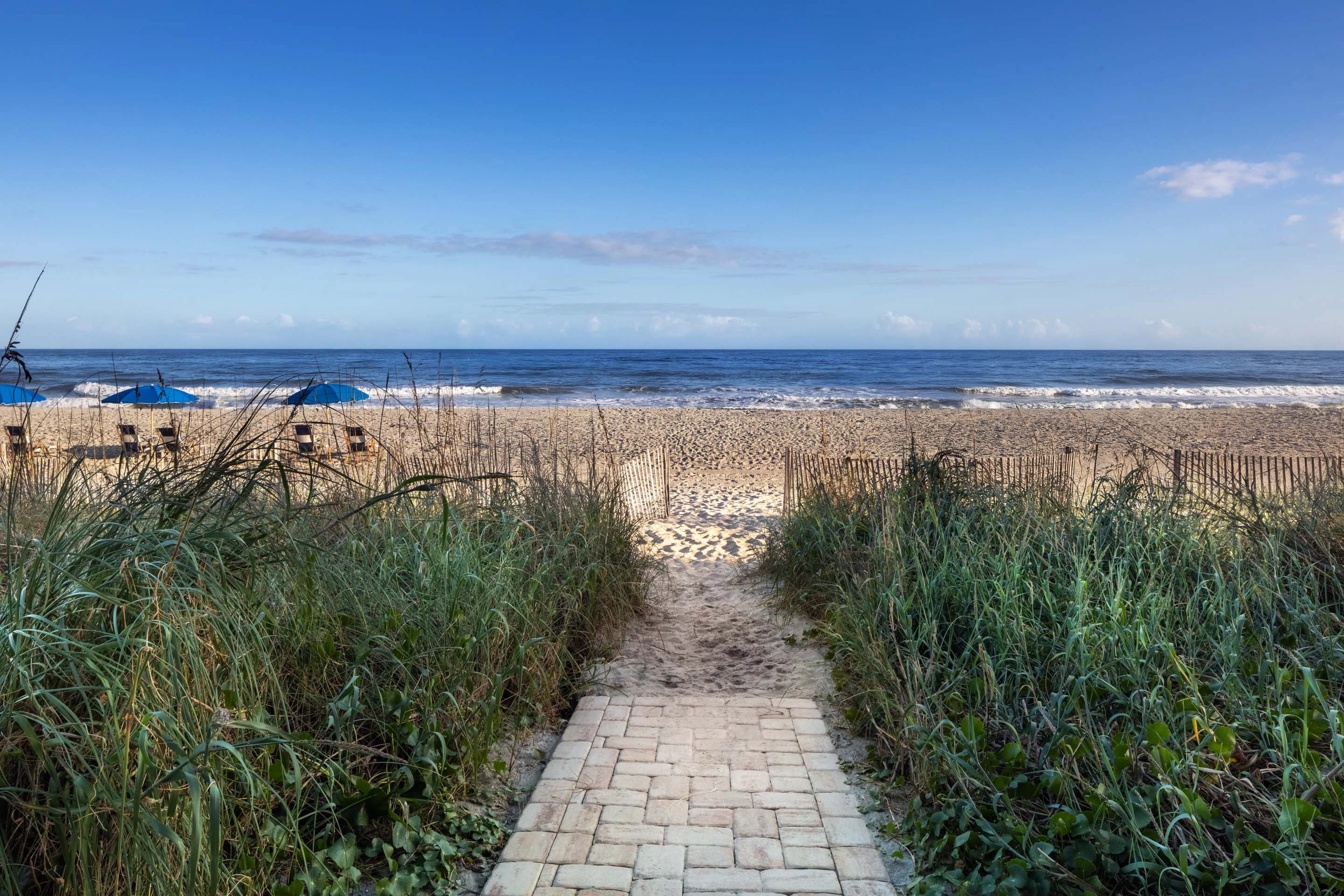 a path leading to a beach