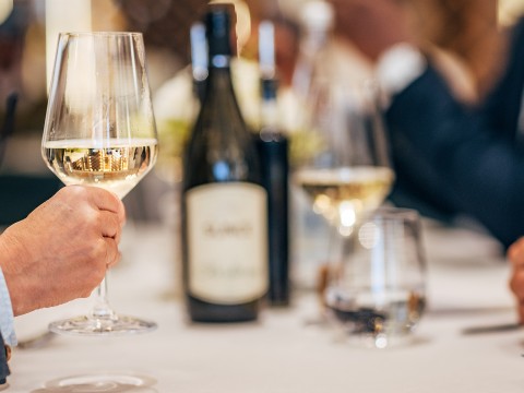 a person holding a glass of wine