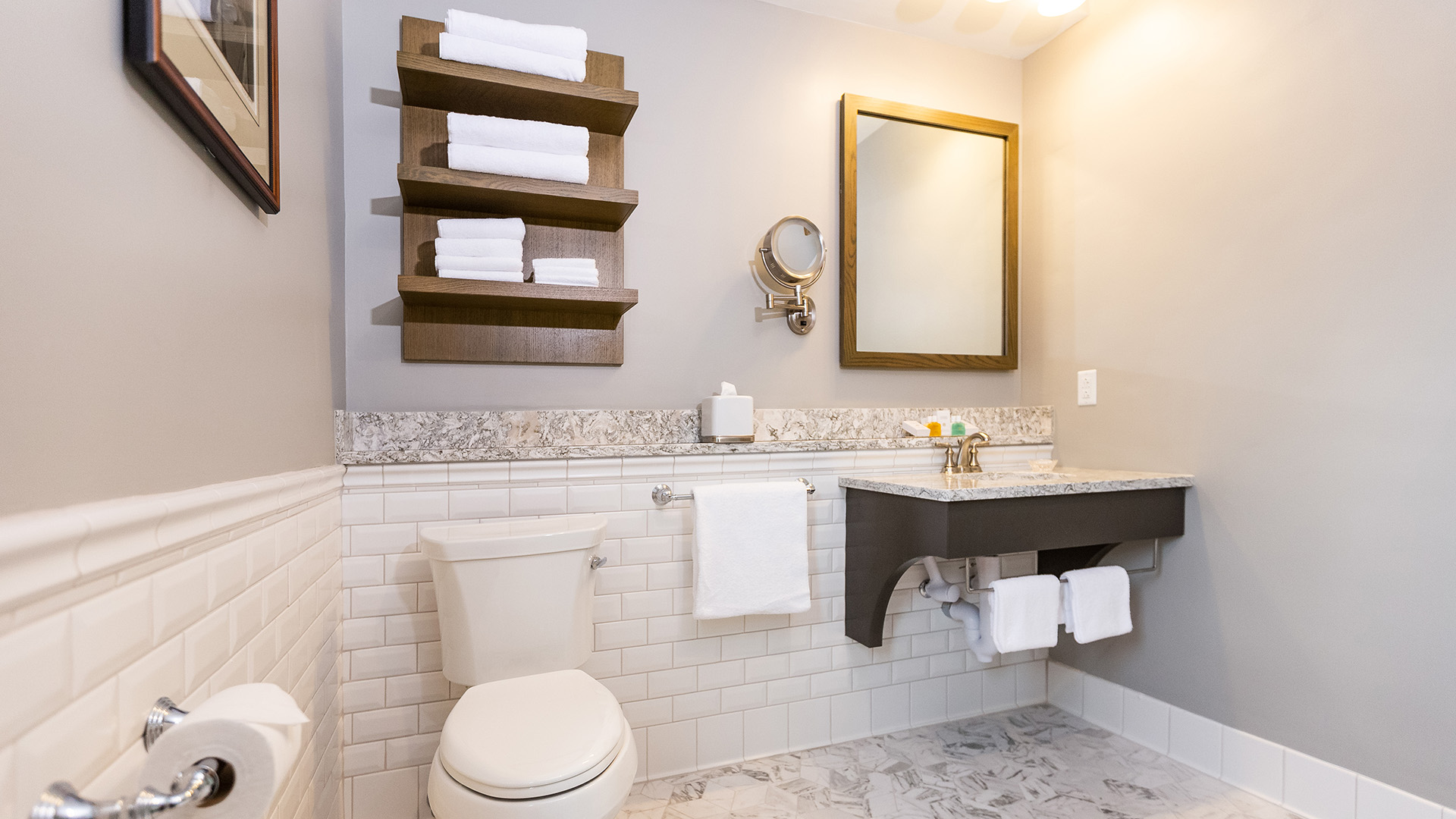 a bathroom with a sink and a toilet