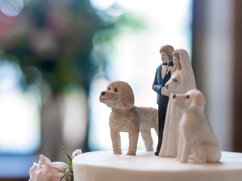a wedding cake topper with a couple of dogs