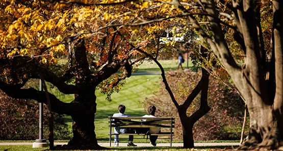 a couple of people sitting on a bench under a tree