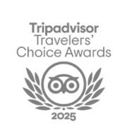 a logo for a tripadvisor traveler's choice awards