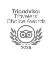 a logo for a tripadvisor traveler's choice awards