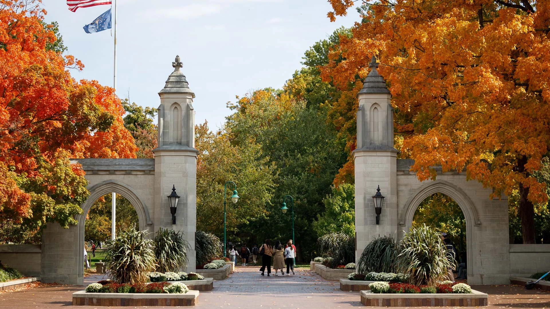 a group of people walking through a walkway with trees