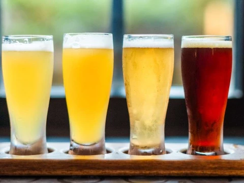 a row of glasses of beer