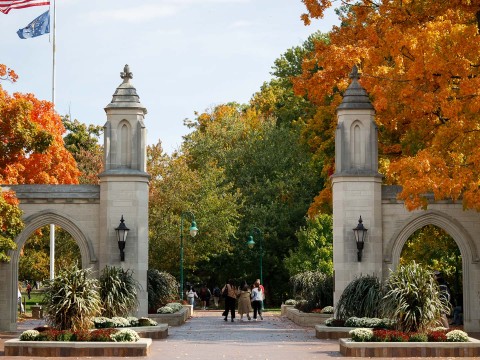 a group of people walking through a walkway with trees